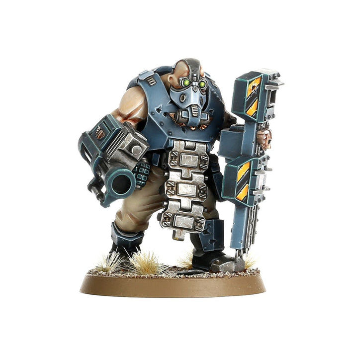 Astra Militarum: Bullgryns