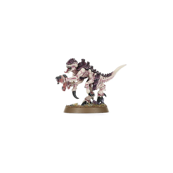 Warhammer 40,000: Introductory Set