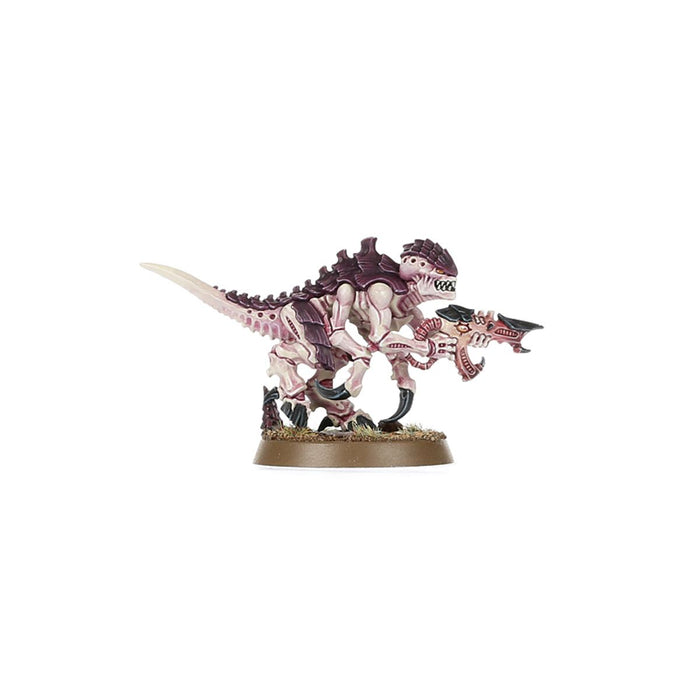 Warhammer 40,000: Introductory Set