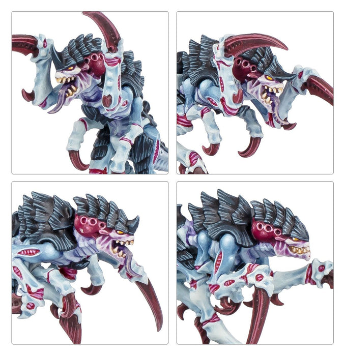 Kill Team: Typhon