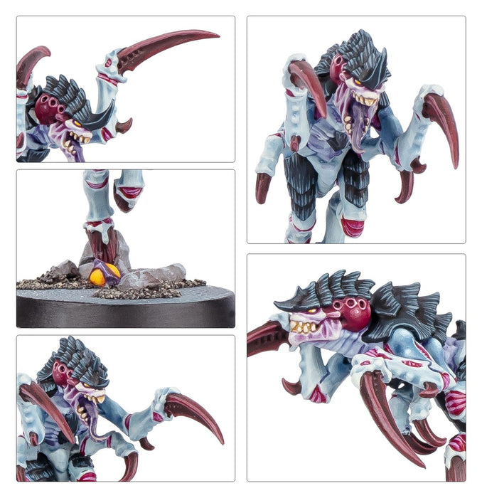 Kill Team: Typhon