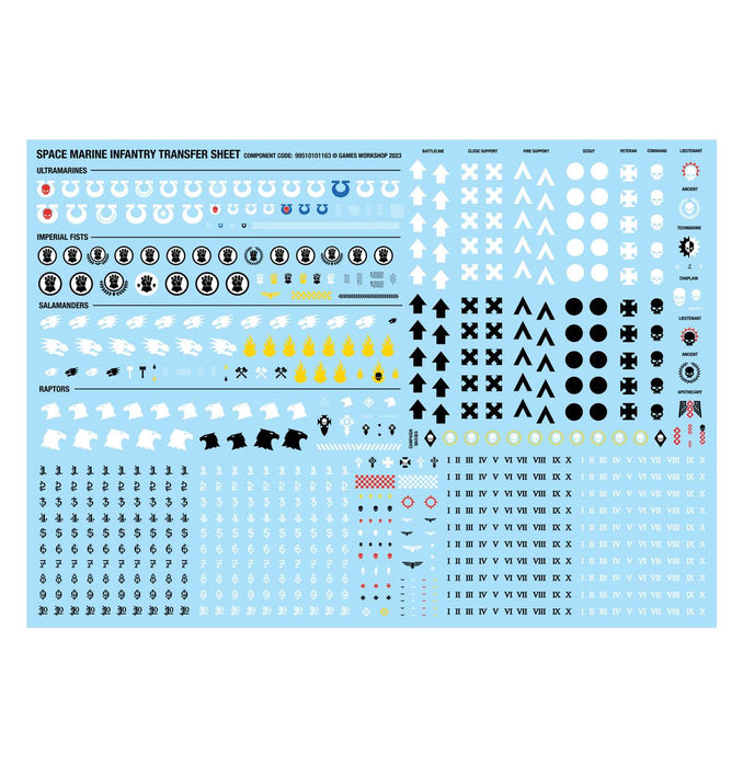Space Marines: Terminator Assault Squad