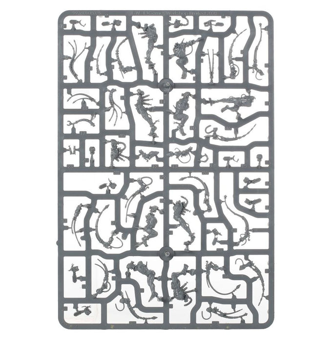 Combat Patrol: Adepta Sororitas