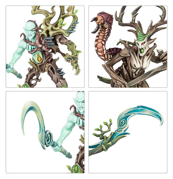 Regiment of Renown: Sylvaneth - The Twisted Branch