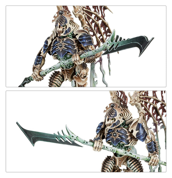 Spearhead: Ossiarch Bonereapers Mortisan Elite
